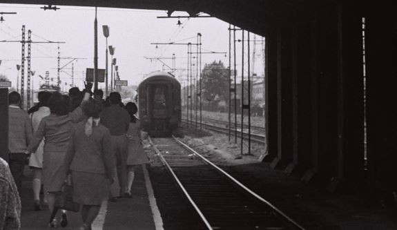 fot. Elżbieta Turlejska