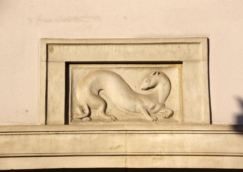 Na fasadzie kamienicy nr 29 płaskorzeźba łasicy