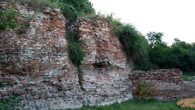 ceglane ruiny, porośnięte roślinnością